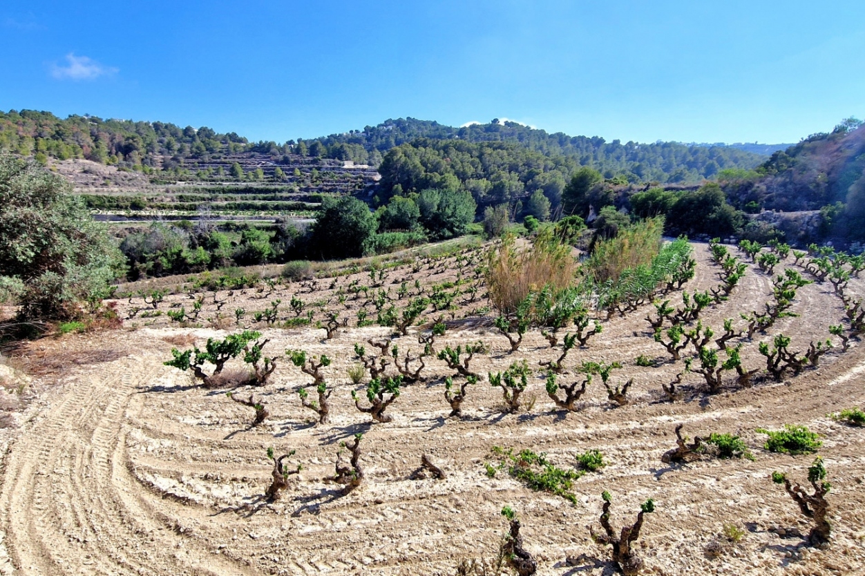 plot in Teulada