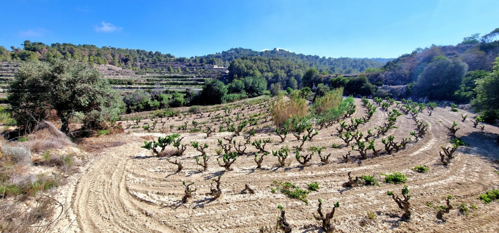 plot in Teulada