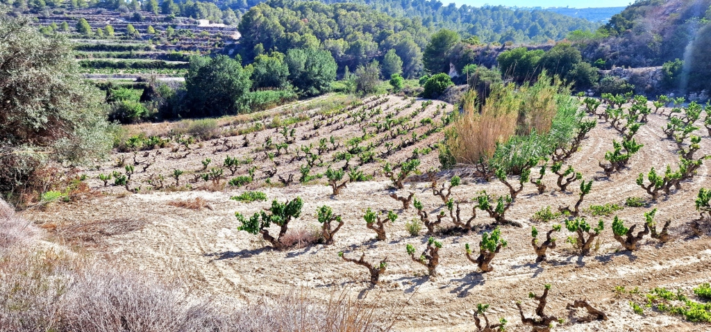 plot in Teulada