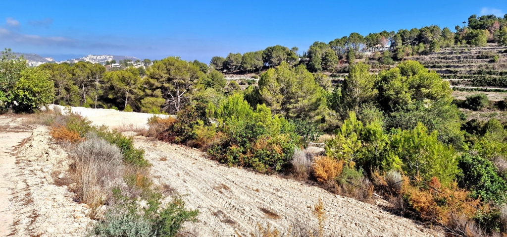 plot in Teulada