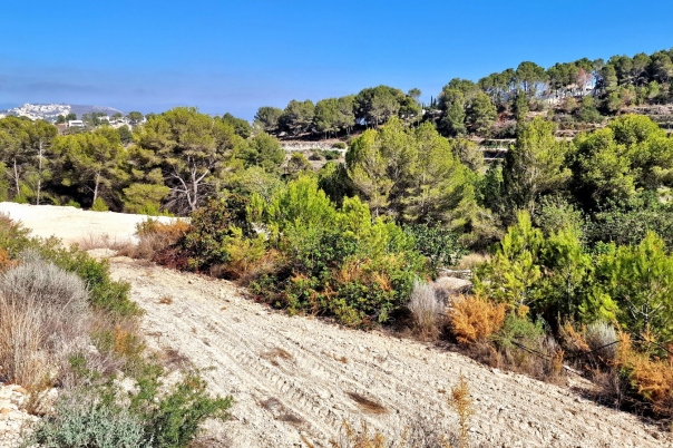 plot in Teulada