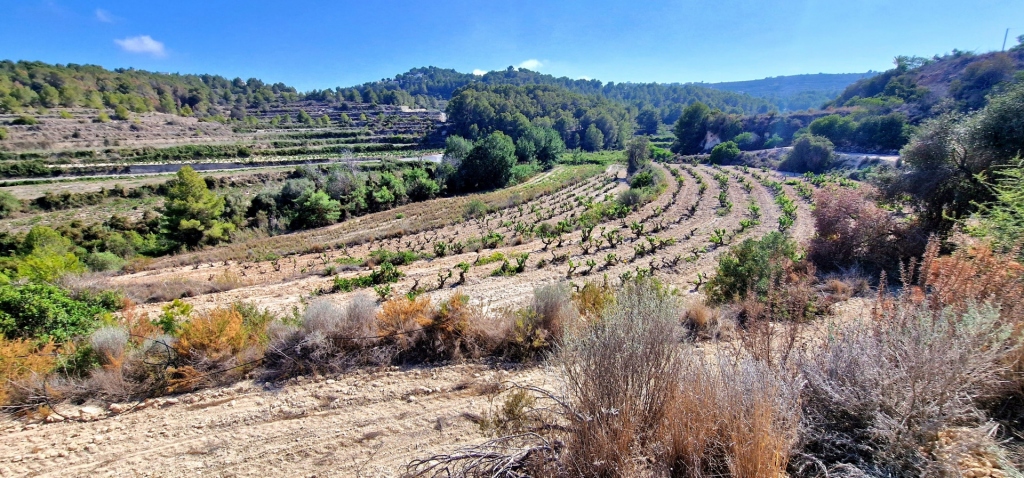 plot in Teulada