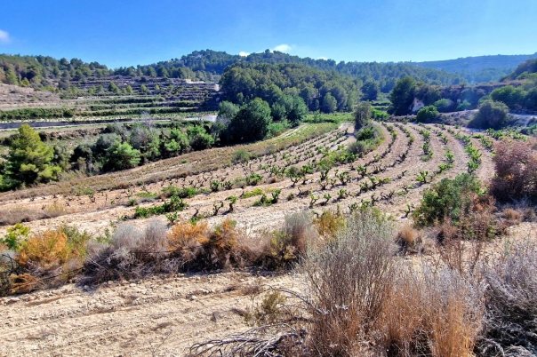 plot in Teulada