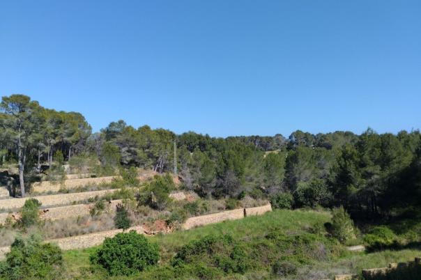 4 bed villa in Altea