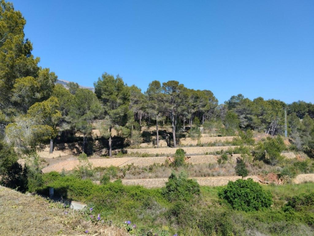 4 bed villa in Altea