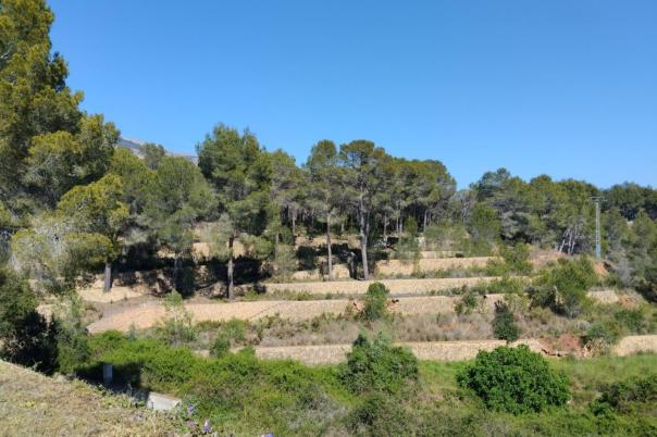 4 bed villa in Altea