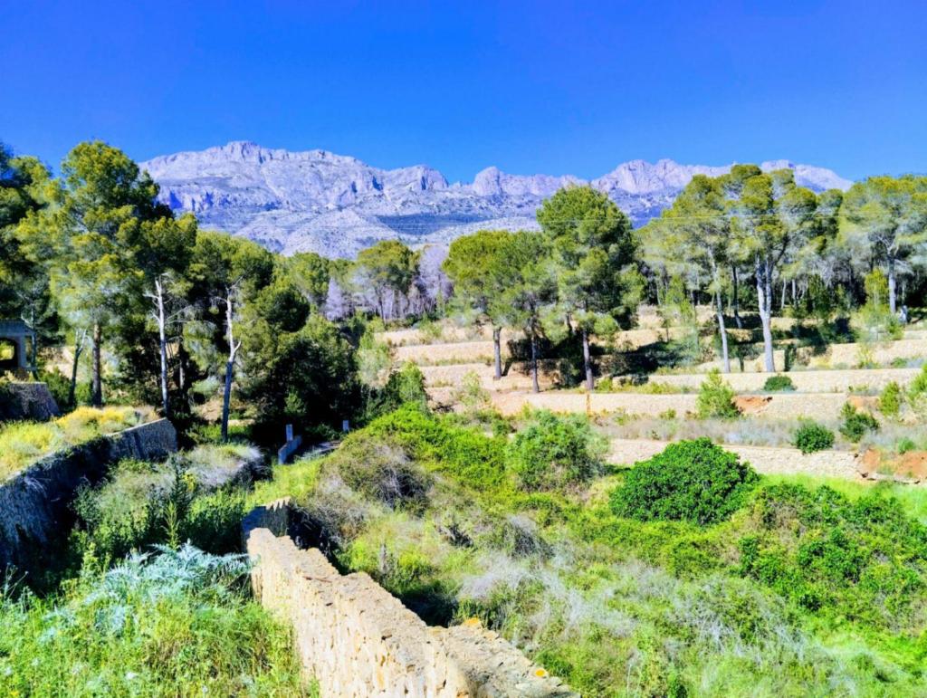4 bed villa in Altea