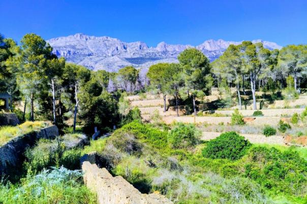 4 bed villa in Altea