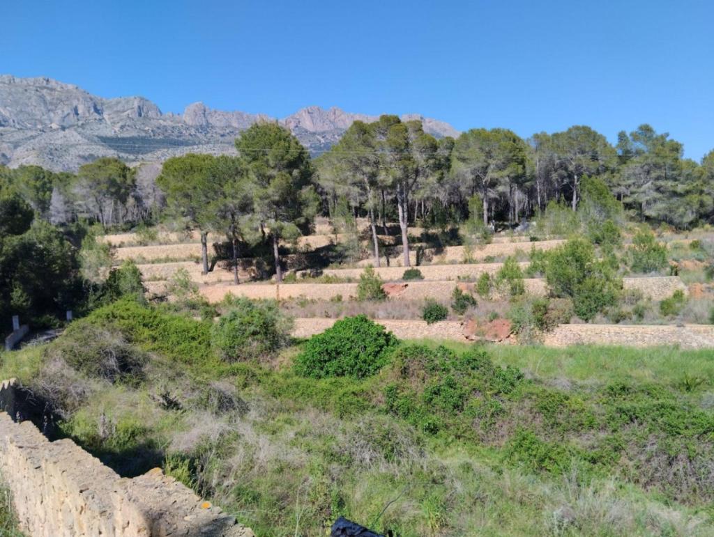 4 bed villa in Altea