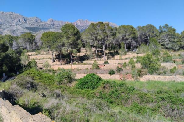 4 bed villa in Altea