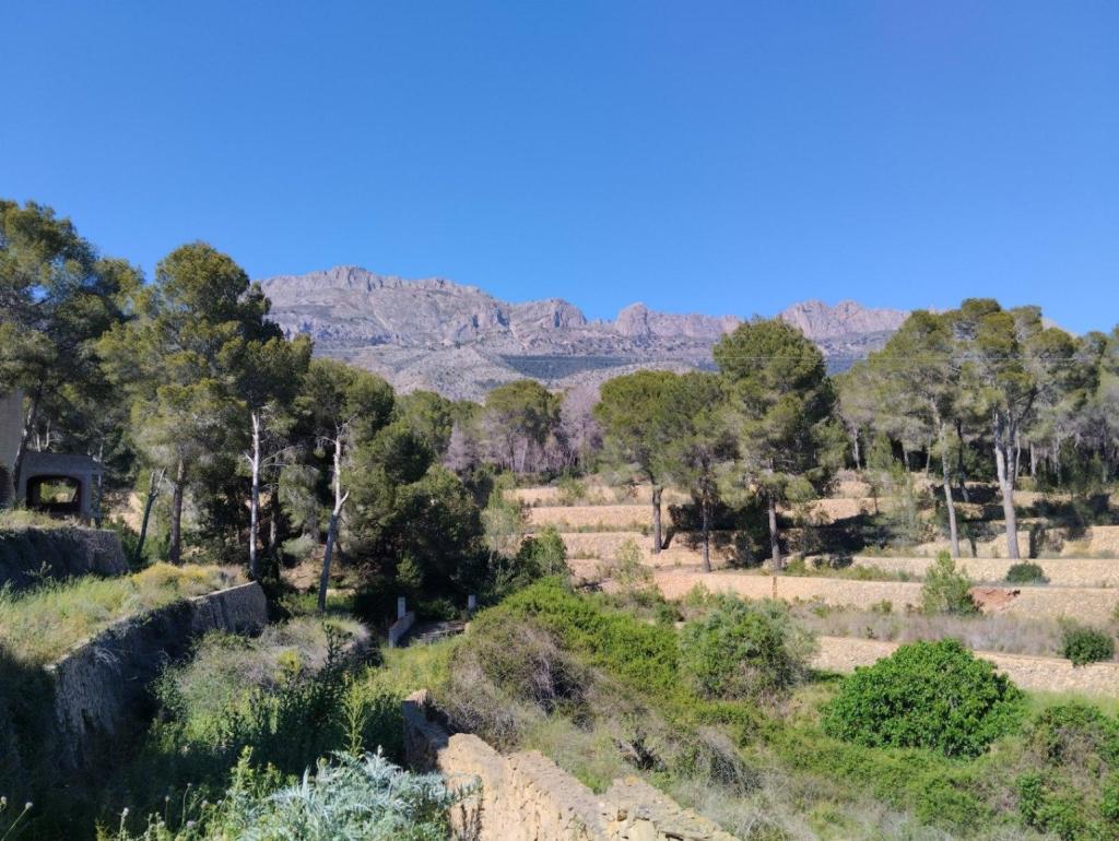4 bed villa in Altea