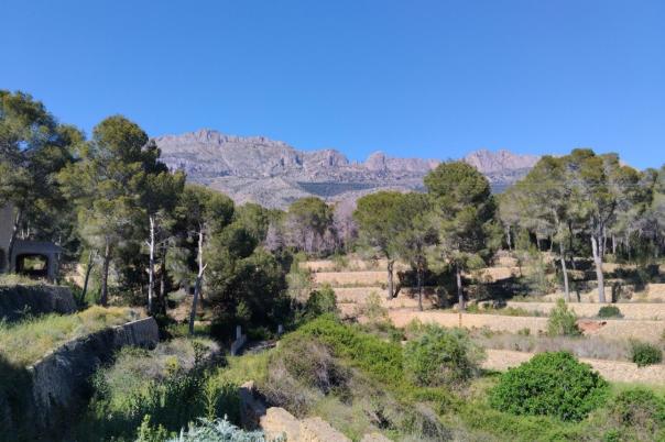 4 bed villa in Altea