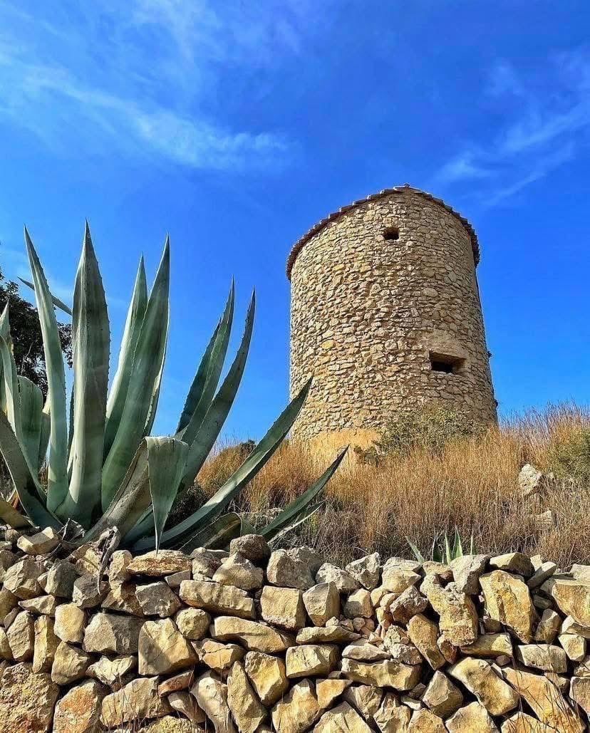 Los Molinos de Javea: Javea Viewpoints