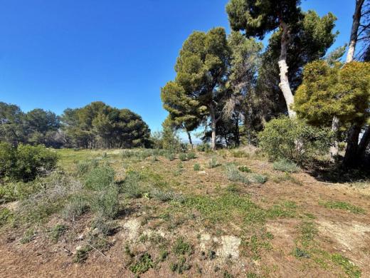 plot in Moraira