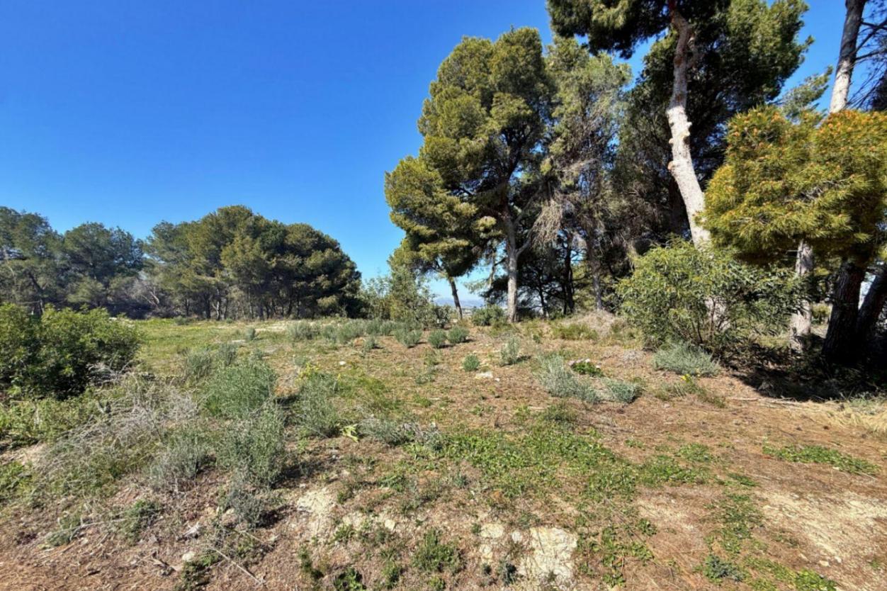 plot in Moraira