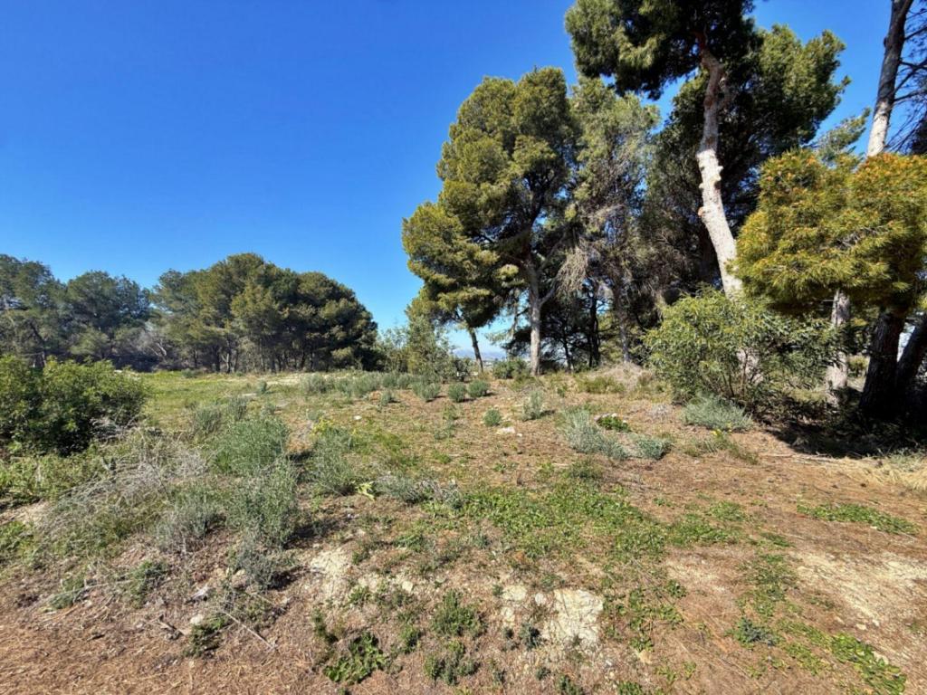 plot in Moraira