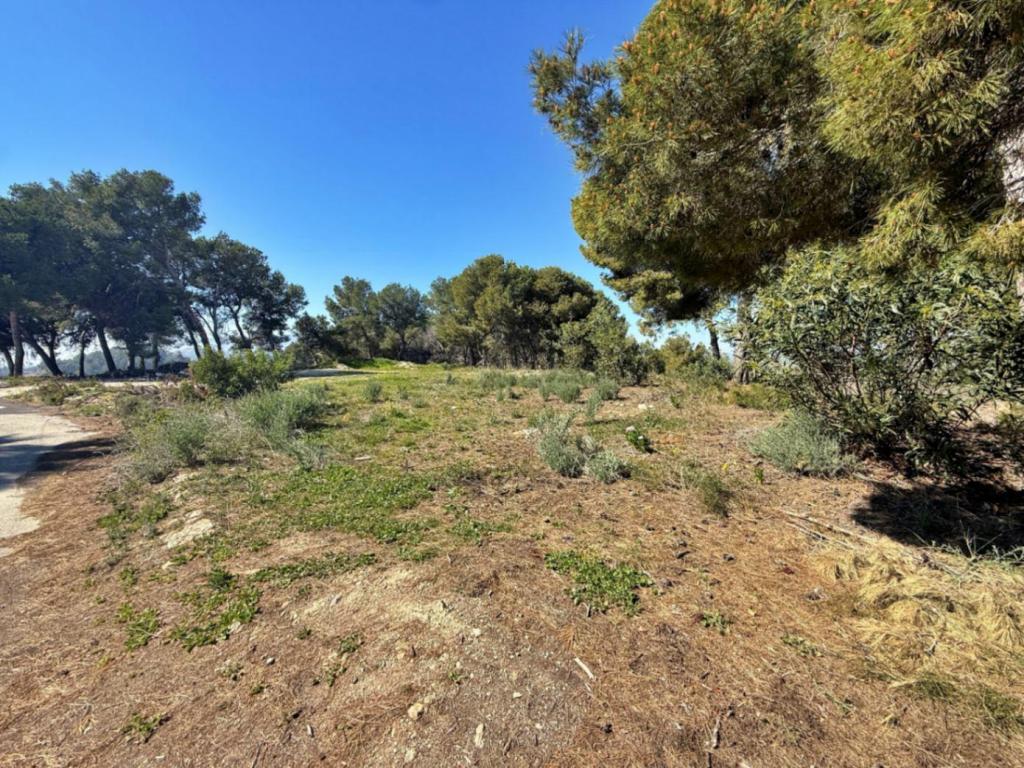 plot in Moraira