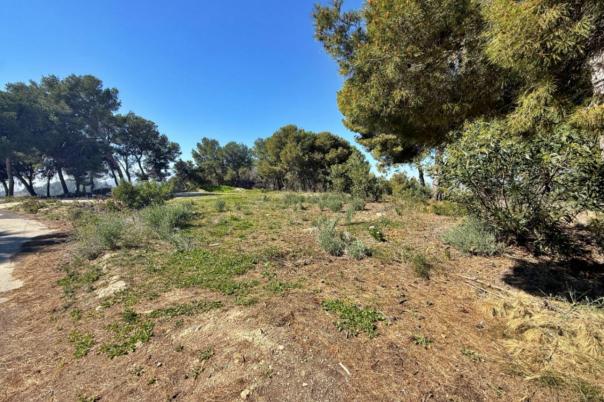 plot in Moraira
