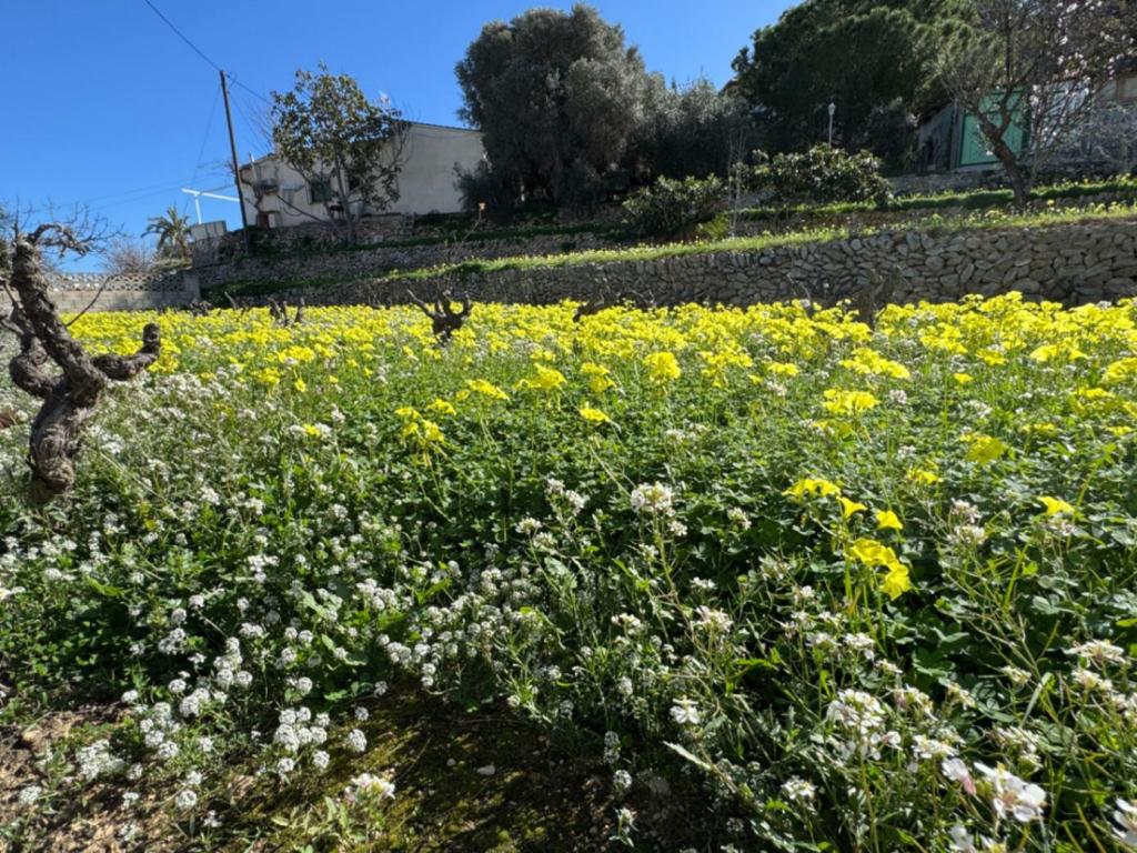 6 bed villa in Benissa