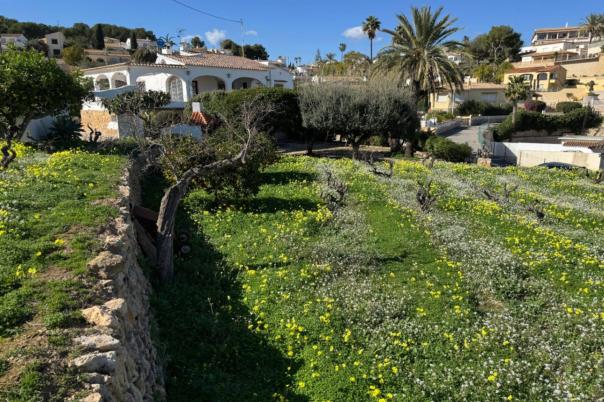 6 bed villa in Benissa