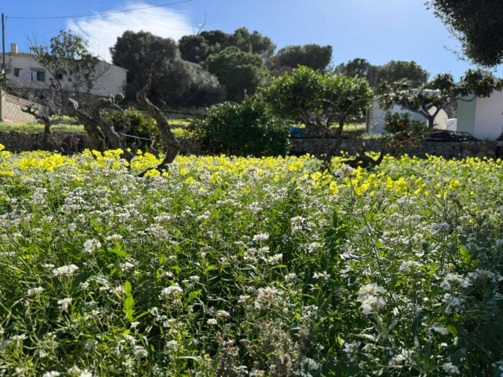 6 bed villa in Benissa