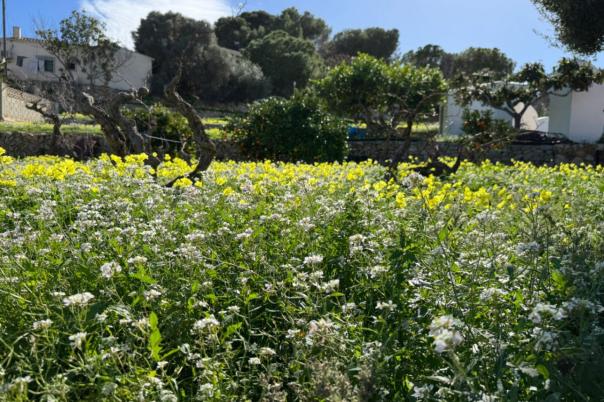 6 bed villa in Benissa