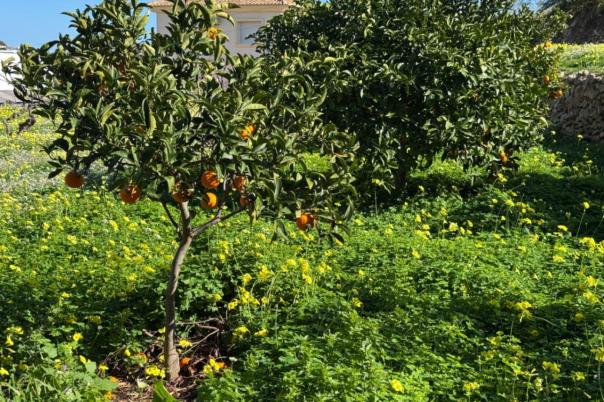 6 bed villa in Benissa