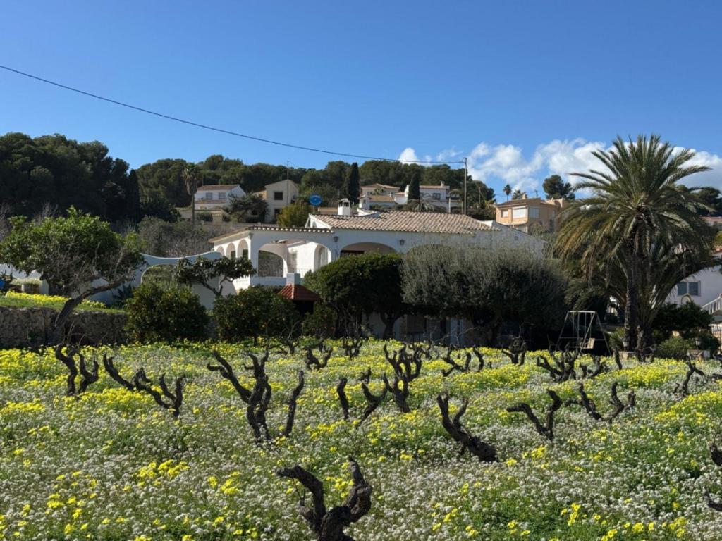 6 bed villa in Benissa