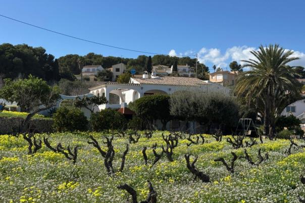 6 bed villa in Benissa