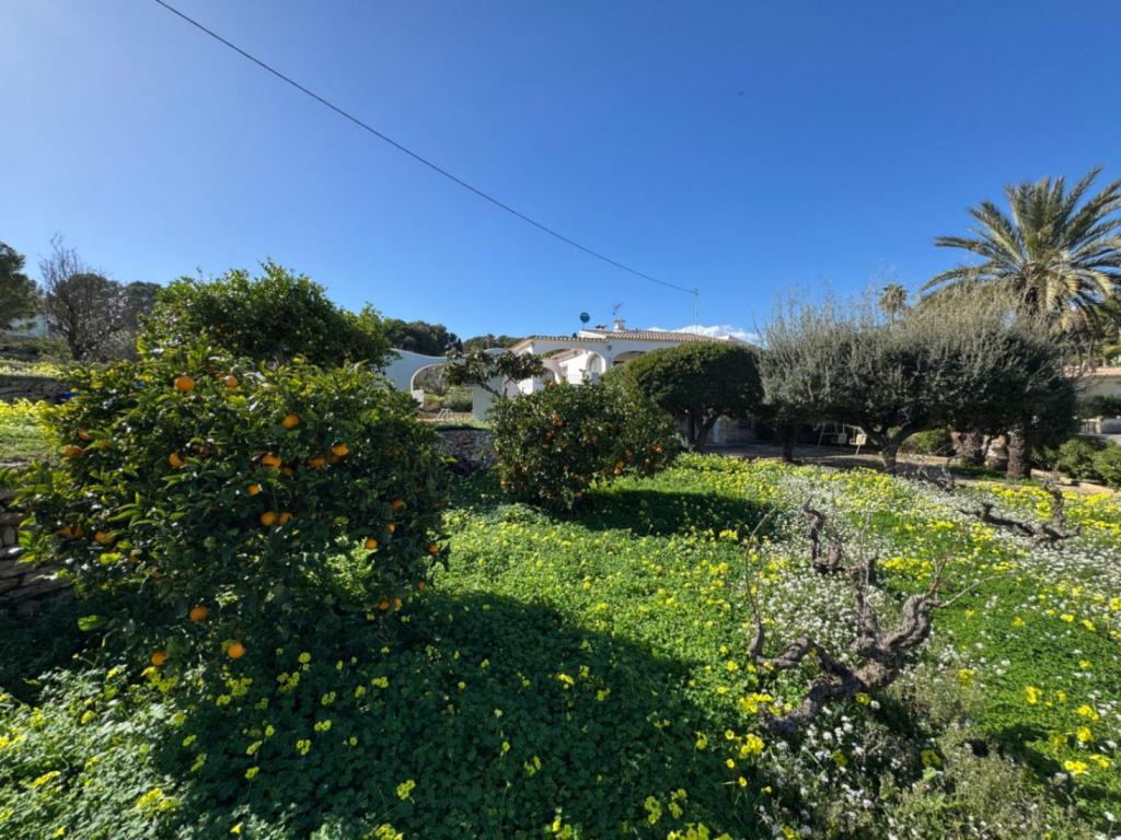 6 bed villa in Benissa