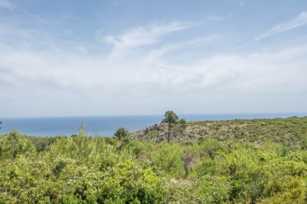 plot in Jávea
