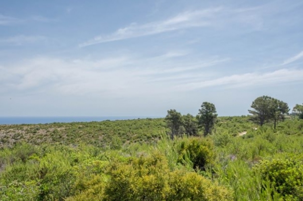 plot in Jávea