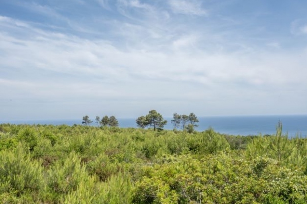 plot in Jávea