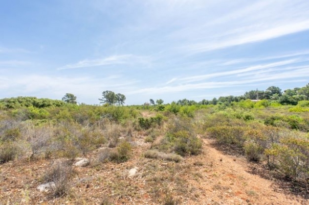 plot in Jávea