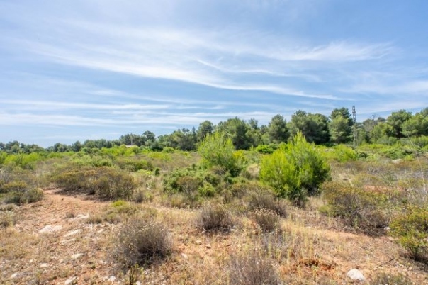 plot in Jávea