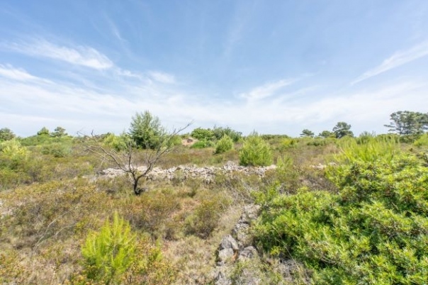 plot in Jávea