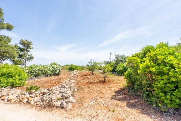 plot in Jávea
