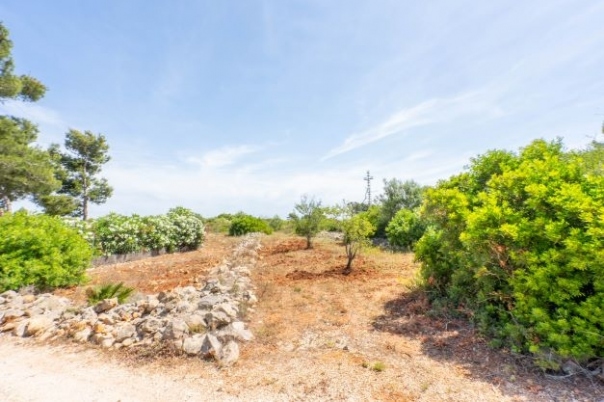 plot in Jávea