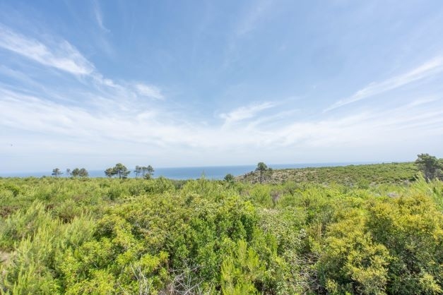 plot in Jávea