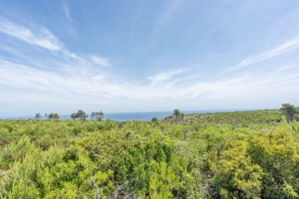 plot in Jávea