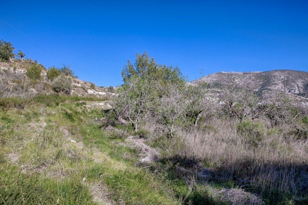 plot in Benitachell