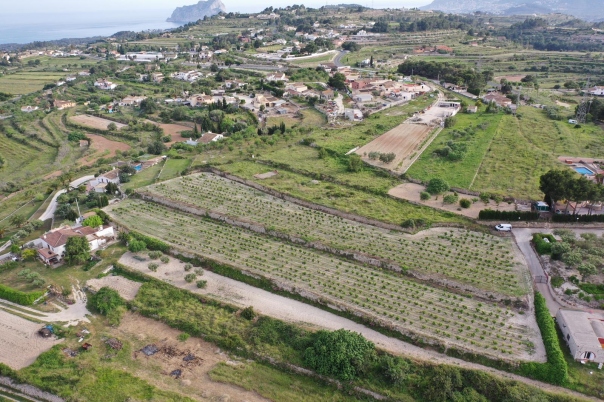 4 bed finca in Benissa