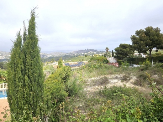 plot in Javea