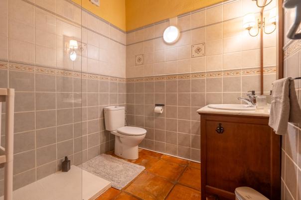 6 bed commercial_premises in Sagra