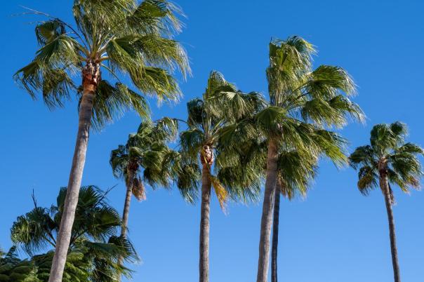 3 bed villa in Javea