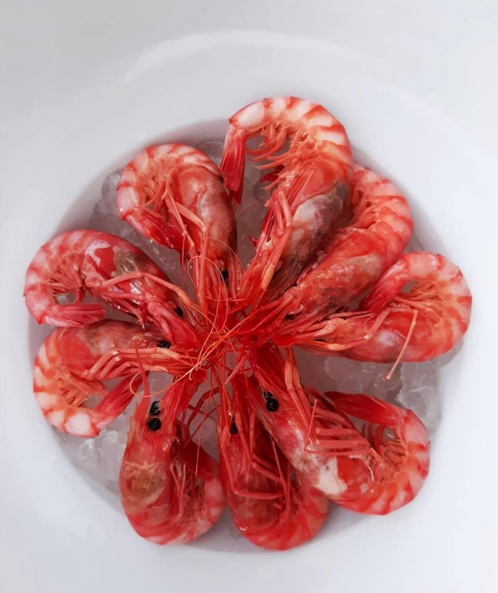 The Best Seafood & Paella Restaurants in Javea
