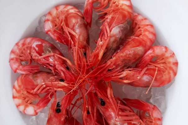 The Best Seafood & Paella Restaurants in Javea