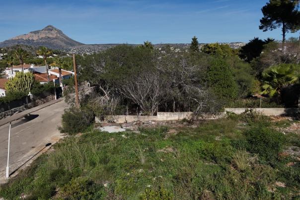 plot in Javea