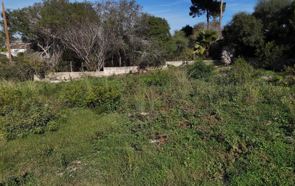 plot in Javea