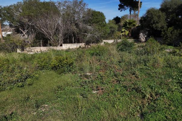 plot in Javea